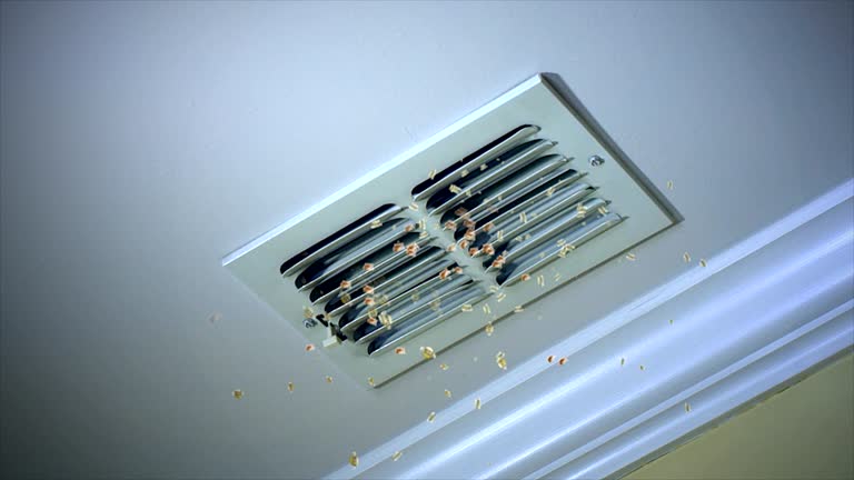 Best Air Duct Cleaning Company Near Me  in East Gaffney, SC